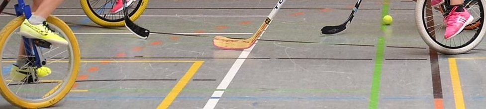 1_Einradhockey gerade.jpg